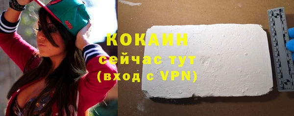 эйфоретик Богданович