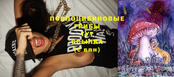 эйфоретик Богданович