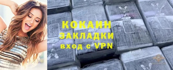 твердый Богородицк