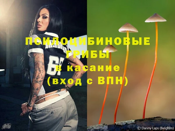 jwh Богородск