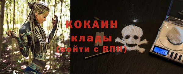 твердый Богородицк