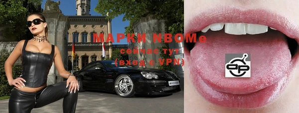 сатива Беломорск