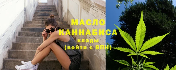 твердый Богородицк