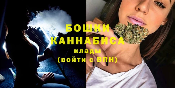 эйфоретик Богданович