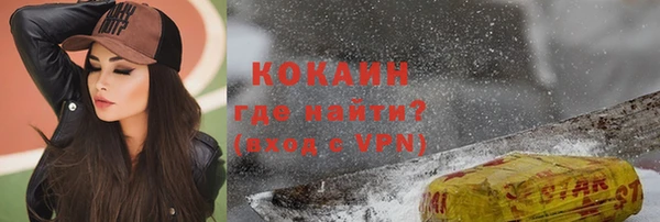 твердый Богородицк