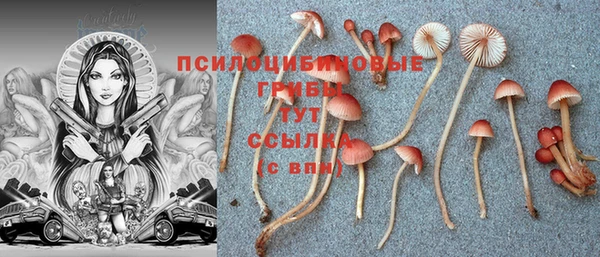 твердый Богородицк