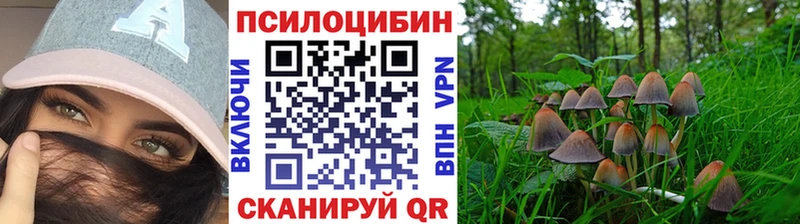 Галлюциногенные грибы ЛСД даркнет сайт KRAKEN маркетплейс Минеральные Воды